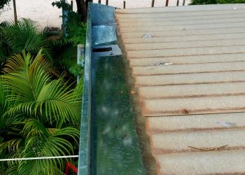 WhatsApp Image 2026-03-04 at 12.20.10